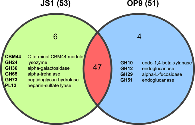 Full article: Prokaryotic Community Characterization in a Mesothermic and  Water- Flooded Oil Reservoir in Colombia