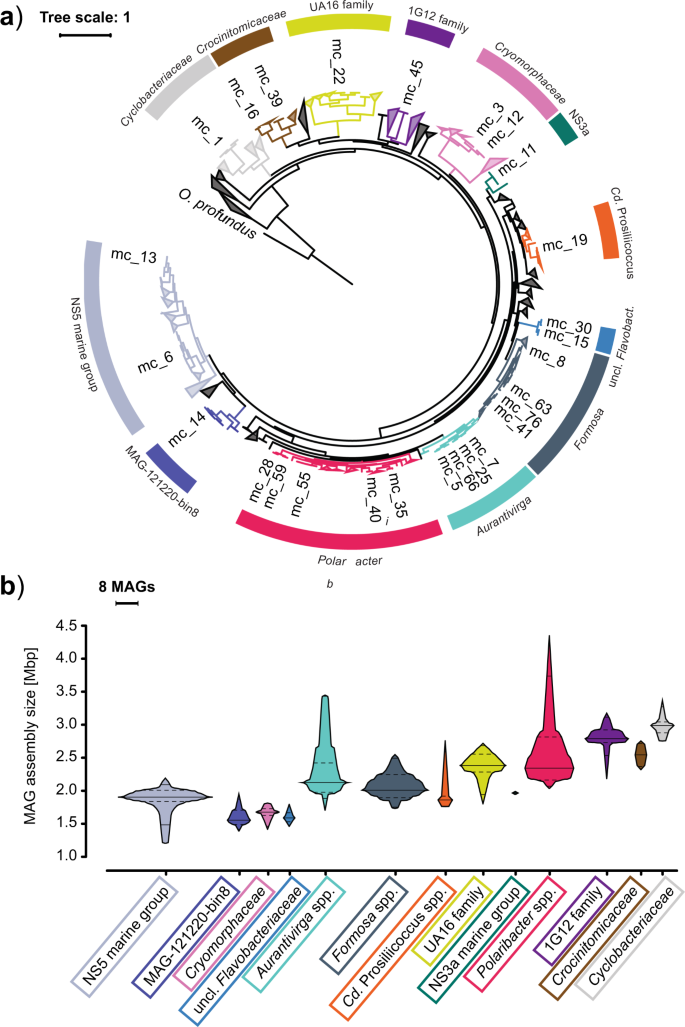 Calaméo - Marine Algae_ Biodiversity, Taxonomy, Environmental Assessment,  And Biotechnology ( PDFDrive ).