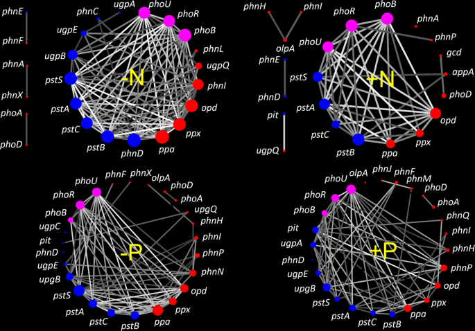 Long Term Nutrient Inputs Shift Soil Microbial Functional Profiles Of Phosphorus Cycling In Diverse Agroecosystems The Isme Journal