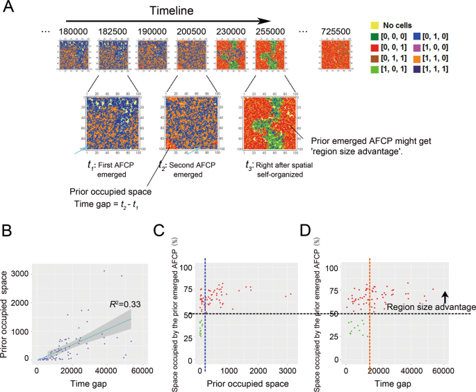 Genome-driven evolutionary game theory helps understand the rise of  metabolic interdependencies in microbial communities