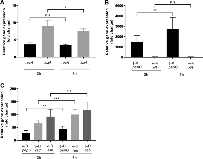 Fig. 3: Relative gene expression of CB-D host and phage gene transcripts 3- and 6-h post superinfection with ɸ-A, relative to non-superinfected controls.