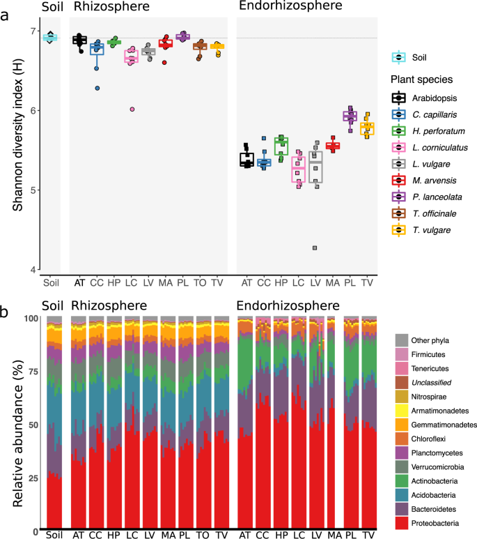 Quantitative Comparison Between The Rhizosphere Effect Of Arabidopsis Thaliana And Co Occurring Plant Species With A Longer Life History The Isme Journal