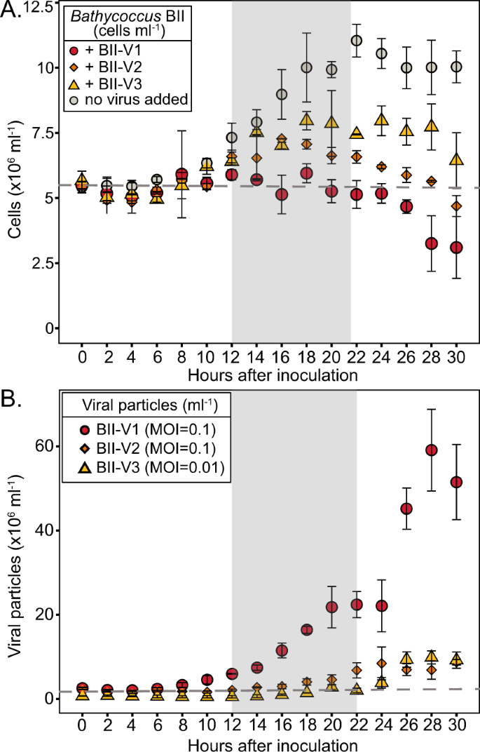 Fig. 3: Temporal studies reveal differential infection dynamics.