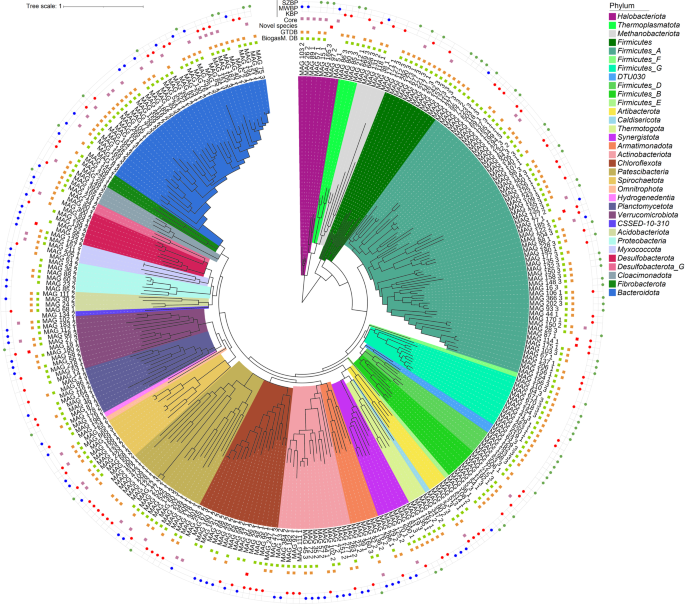 Fig. 4: Phylogenetic tree of reconstructed nrMAGs based on bacterial and archaeal SCGs.
