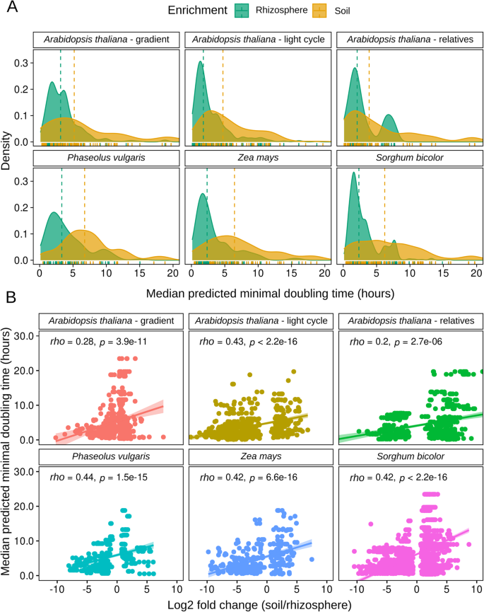 Fig. 1: Median predicted minimum doubling times (mPMDT) of bacteria enriched in rhizospheres are lower than those in associated bulk soils.