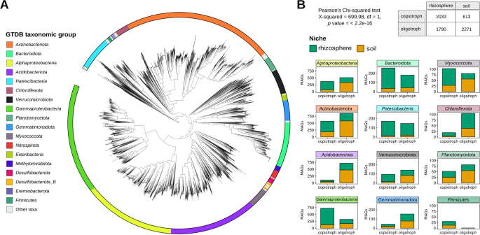 Fig. 2: MAGs taxonomy, niche, and growth rate status.