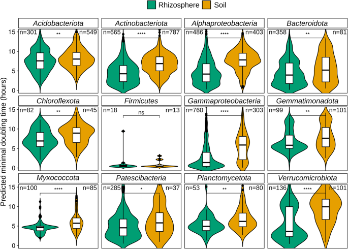 Fig. 3: PMDT in MAGs from rhizosphere and soil metagenomes.