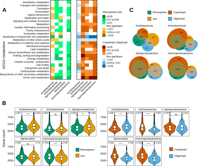 Fig. 4: Comparison of metagenome-assembled genomes (MAGs) from rhizosphere/soils and fast-/slow-growers.