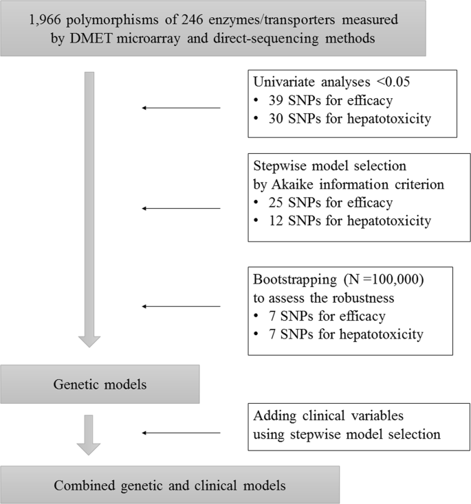Genetic And Clinical Prediction Models For The Efficacy And Hepatotoxicity Of Methotrexate In Patients With Rheumatoid Arthritis A Multicenter Cohort Study The Pharmacogenomics Journal