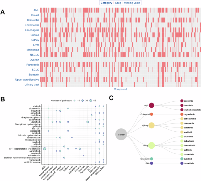Graphical Abstract. Cancer Inhibitor Systematic identification of cancer pathways and potential drugs for ...