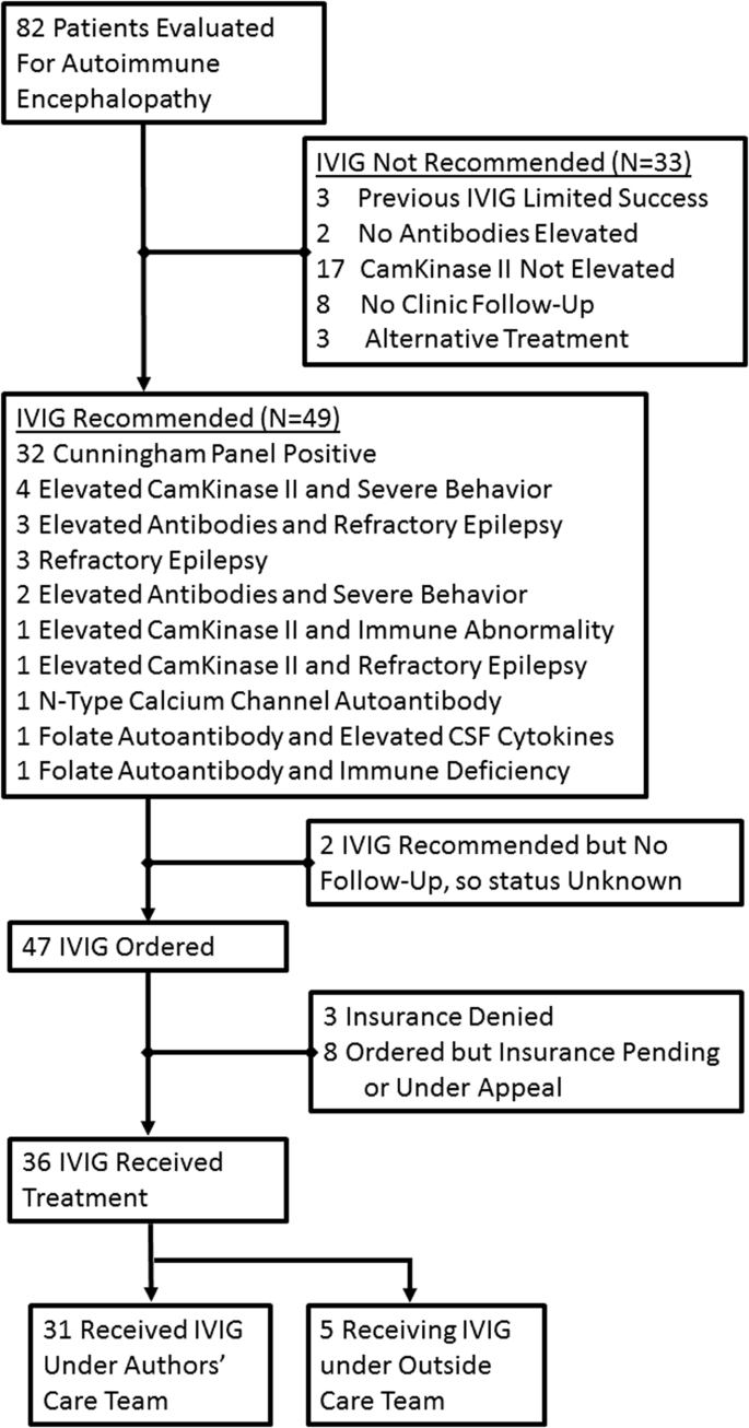 Where Autism Got Right Treatment In 2015 >> Intravenous Immunoglobulin For The Treatment Of Autoimmune Where Autism Got Right Treatment In 2015 >> Intravenous Immunoglobulin For The Treatment Of Autoimmune
