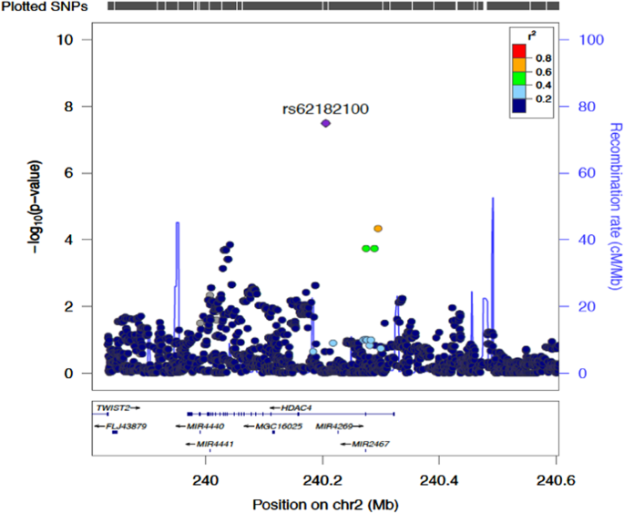 Discovery Of The First Genome Wide Significant Risk Loci For Attention >> Genome Wide Association Study Reveals Novel Genetic Locus Associated Discovery Of The First Genome Wide Significant Risk Loci For Attention >> Genome Wide Association Study Reveals Novel Genetic Locus Associated