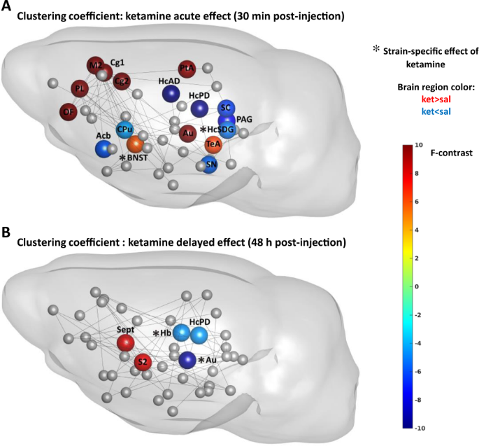 Differences between ketamine's short-term and long-term effects on brain  circuitry in depression | Translational Psychiatry