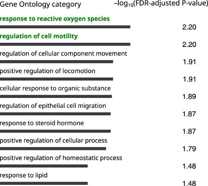 Fig. 4: Top 10 enriched gene ontology terms analyzed with ConsensusPathDB for the SZ14 group.