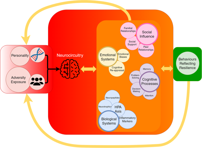 Modelling Resilience In Adolescence And Adversity A Novel Framework To Inform Research And Practice Translational Psychiatry