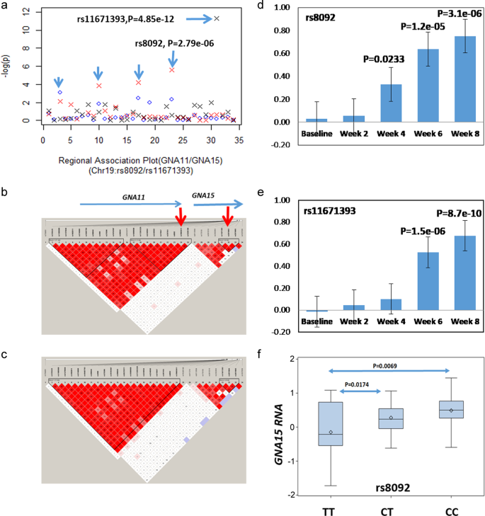 Fig. 2: Genetic variants at the GNA11−GNA15 loci significantly affect the antidepressant response.