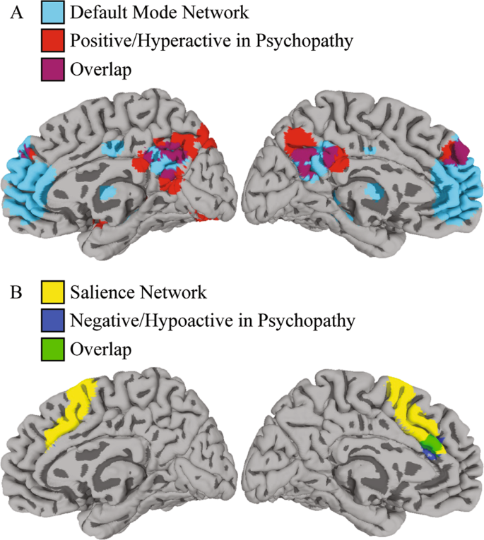 Brain self-regulation in criminal psychopaths