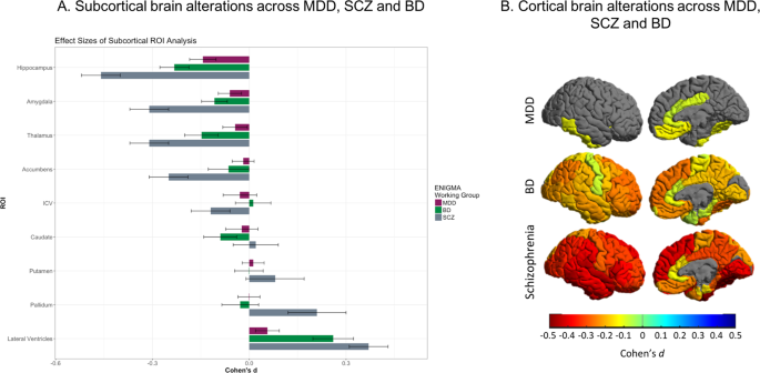 Brain aging in major depressive disorder: results from the ENIGMA