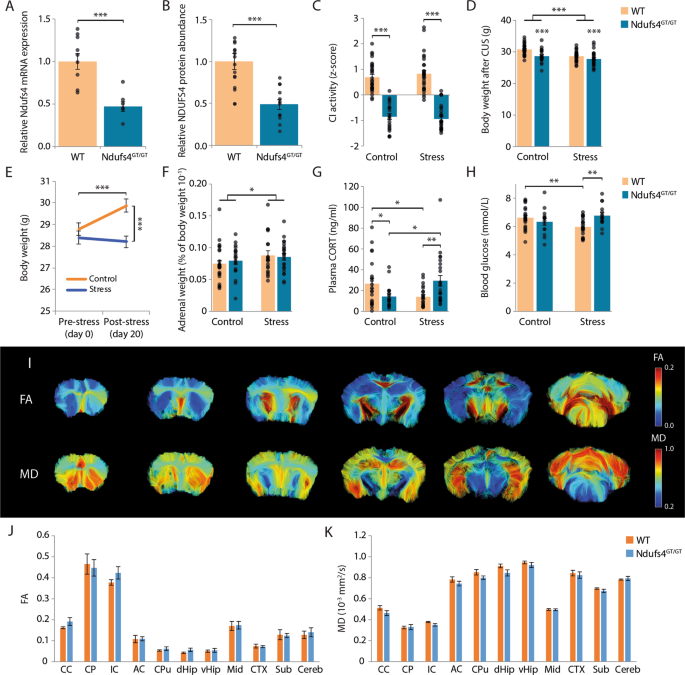 Fig. 1: Physiological characterization of Ndufs4GT/GT mice.