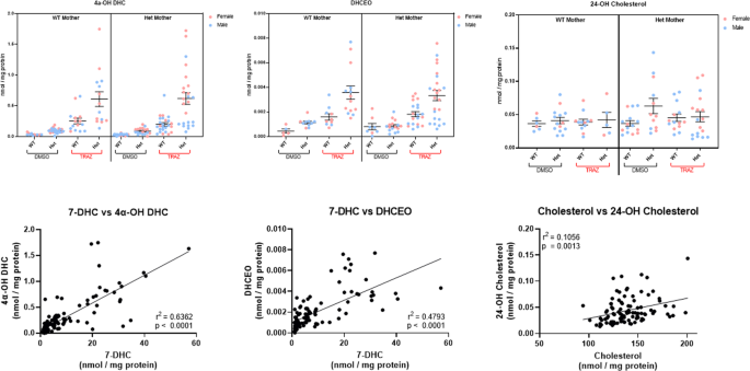 Trazodone Effects On Developing Brain Translational Psychiatry