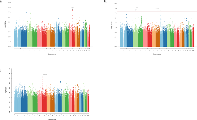 Fig. 2: Manhattan plots for GWAS analyses.