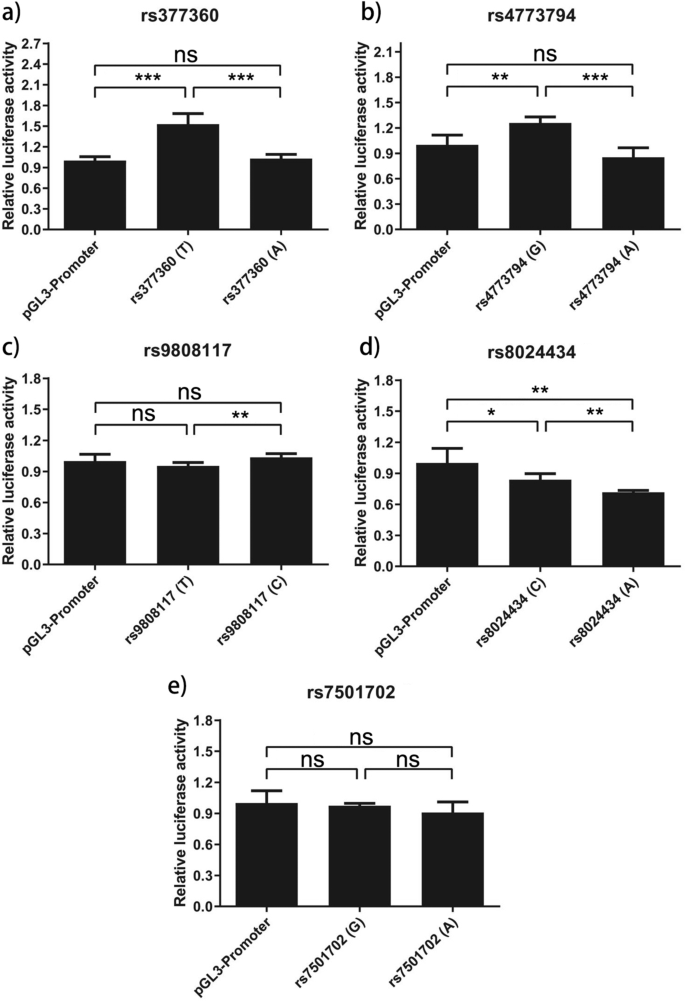 Fig. 5: Luciferase reporter assays comparing transcriptional activation with pGL3-Promoter or variant alleles of genetic variants.