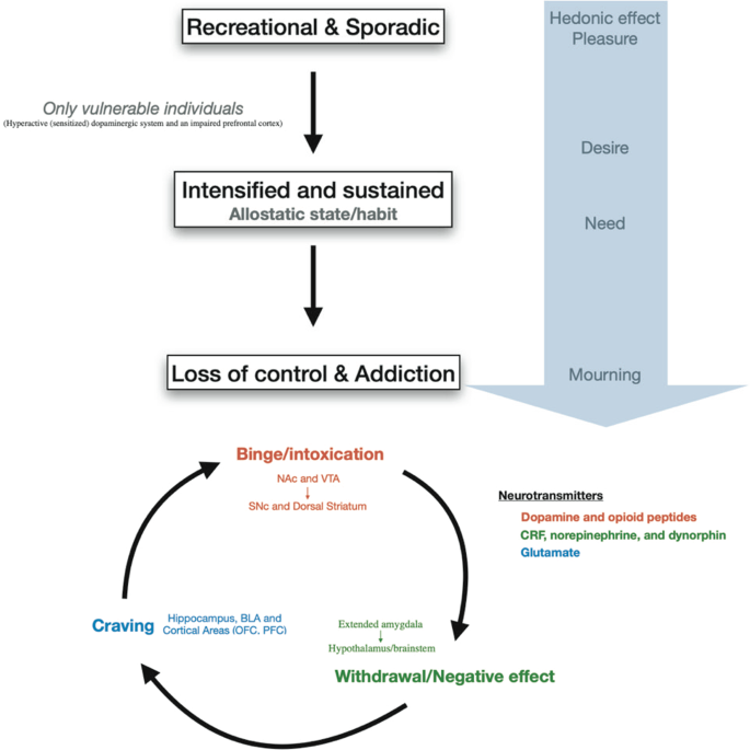 Addiction Meaning - What Does It Mean To Have an Addiction?