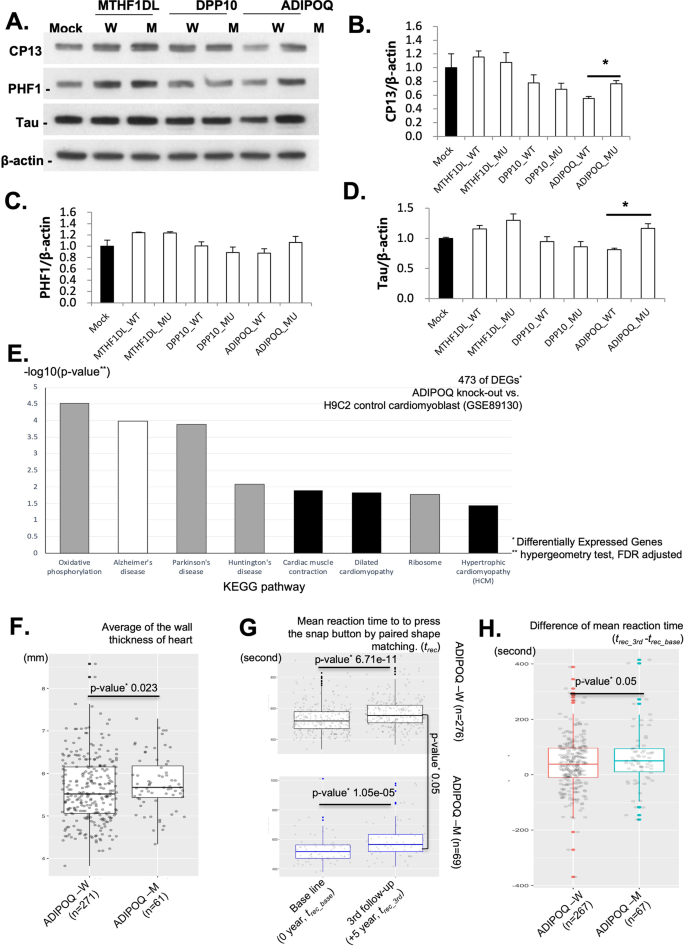 Fig. 4: Validation of pleiotropic effects for CD and AD/D.
