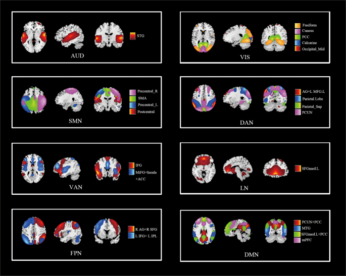 Fig. 1: Spatial maps of 23 independent components sorted into eight intrinsic networks overlaid on the Montreal Neurological Institute (MNI) template.