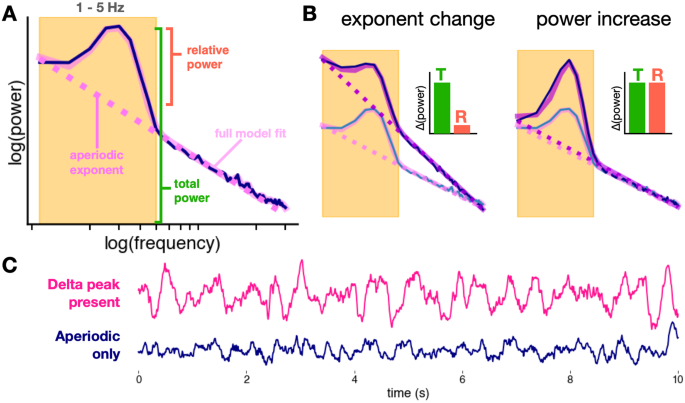 電気けいれん療法の効果を説明する脳活動の新しい研究(New Studies of Brain Activity Explain Benefits of Electroconvulsive Therapy)