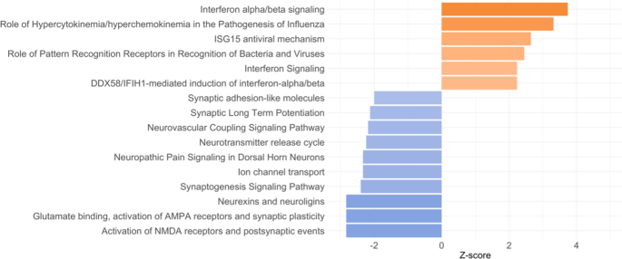 Fig. 2: Pathways differentially modulated in adolescents with current major depressive disorder (MDD) compared with adolescents at low risk (LR) for future depression (both males and females).
