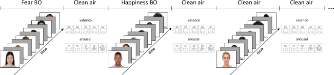Fig. 1: Experimental protocol.