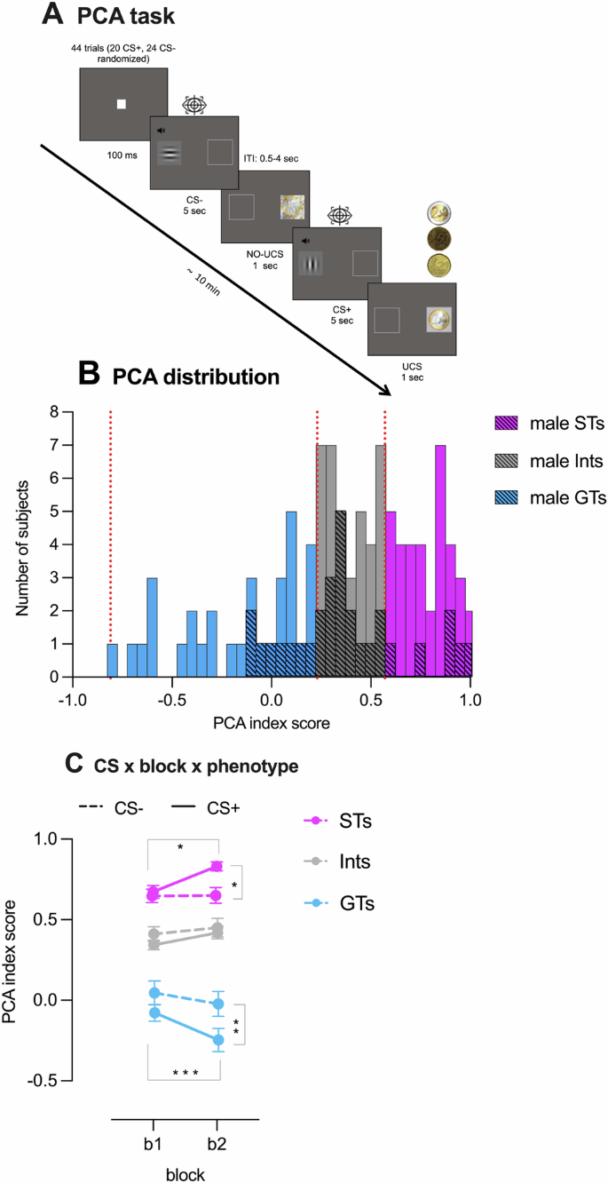 Resting-state brain activation patterns and network topology 