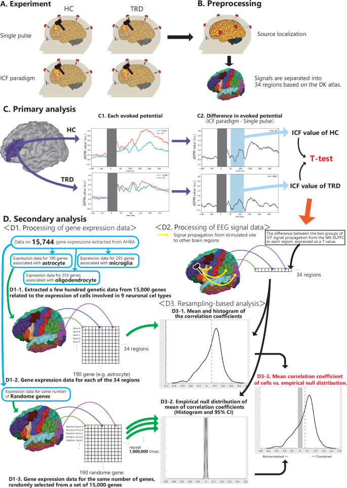 Decreased prefrontal glutamatergic function is associated with a 