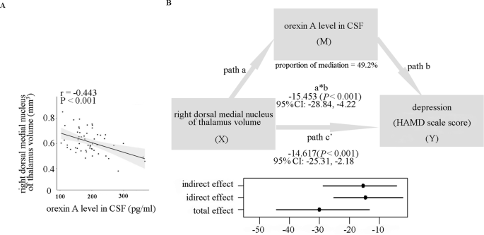 Fig. 4: The mediating effect of orexin A level in CSF on the association between the grey matter volume of the right dorsal medial thalamic nucleus and depression.