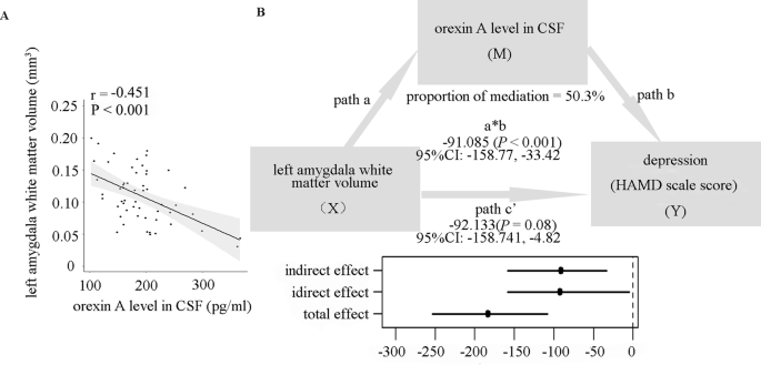 Fig. 5: The mediating effect of orexin A level in CSF on the association between the white matter volume of the left amygdala and depression.