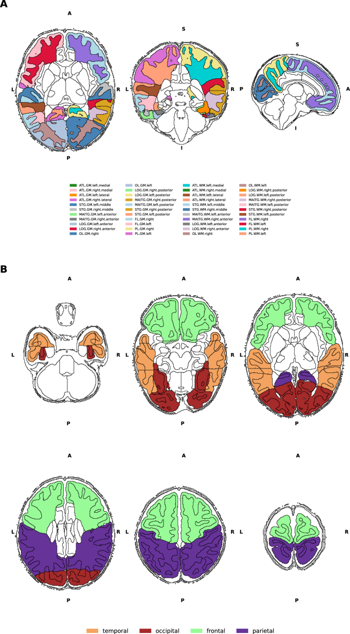 Fig. 1: Visualisation of DrawEM parcellations.