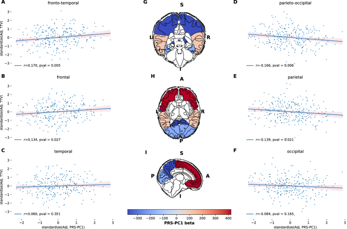 Fig. 3: Association between PRS-PC1 and regional volumes.