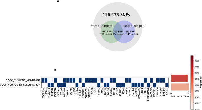 Fig. 4: Gene set-enrichment analysis.