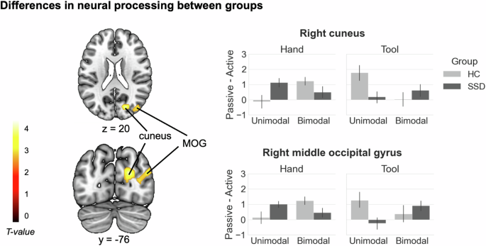 Fig. 3: Differences between groups.