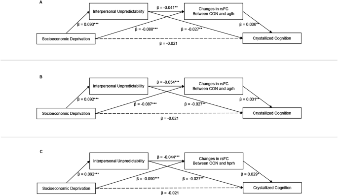 Fig. 5: Significant Serial Mediation Models of Interpersonal Unpredictability and Changes in rsFC Between Socioeconomic Deprivation and Crystallized Cognition.