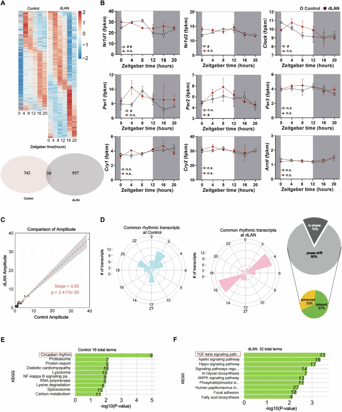 Fig. 4: Effects of dLAN on rhythmic gene expression in the hippocampus.