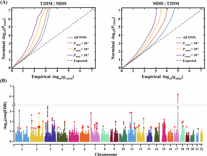 Fig. 4: Results of the conjFDR analysis.