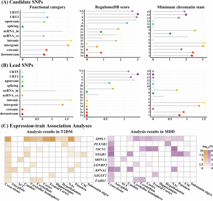 Fig. 5: Functional annotation of shared SNPs and expression-trait associations of prioritized genes between T2DM and MDD.