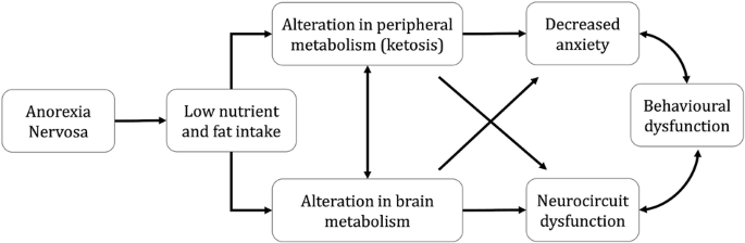 Fig. 1: Potential vicious cycle involving ketone bodies and starvation in anorexia nervosa (AN).