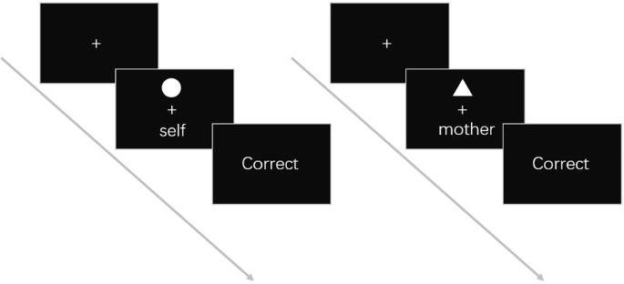 Fig. 1: Example of the arrays presented in the self-mother matching task.