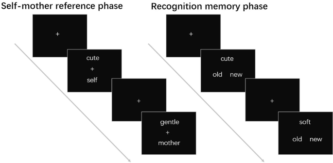 Fig. 3: Example of the arrays presented in the self-mother reference task.