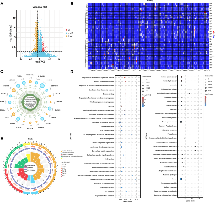 Fig. 2: RNA-seq analysis between schizophrenia patients and healthy controls.
