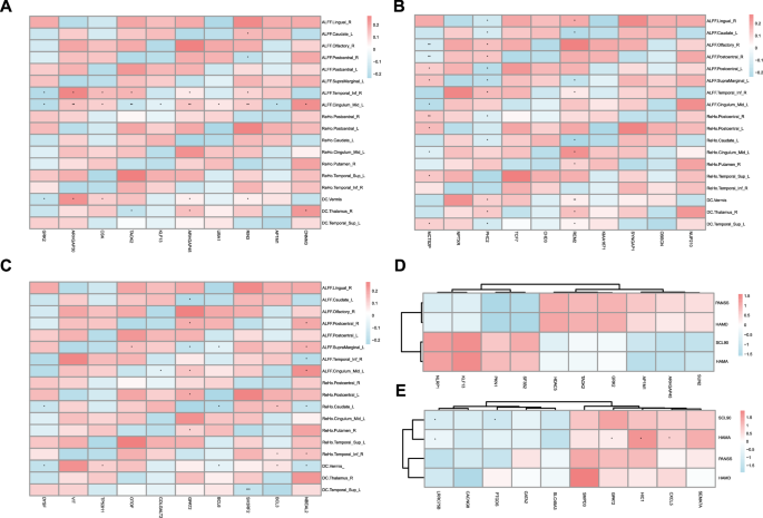 Fig. 5: Correlation analysis of genes associated with fMRI metrics and clinical assessments.