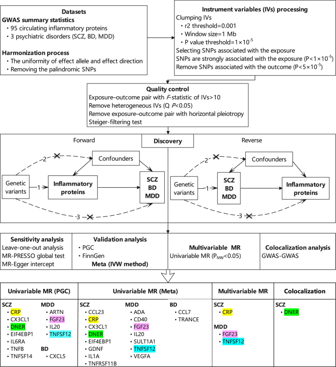 Fig. 1: Workflow of the casual inference between circulating inflammatory proteins and psychiatric disorders.